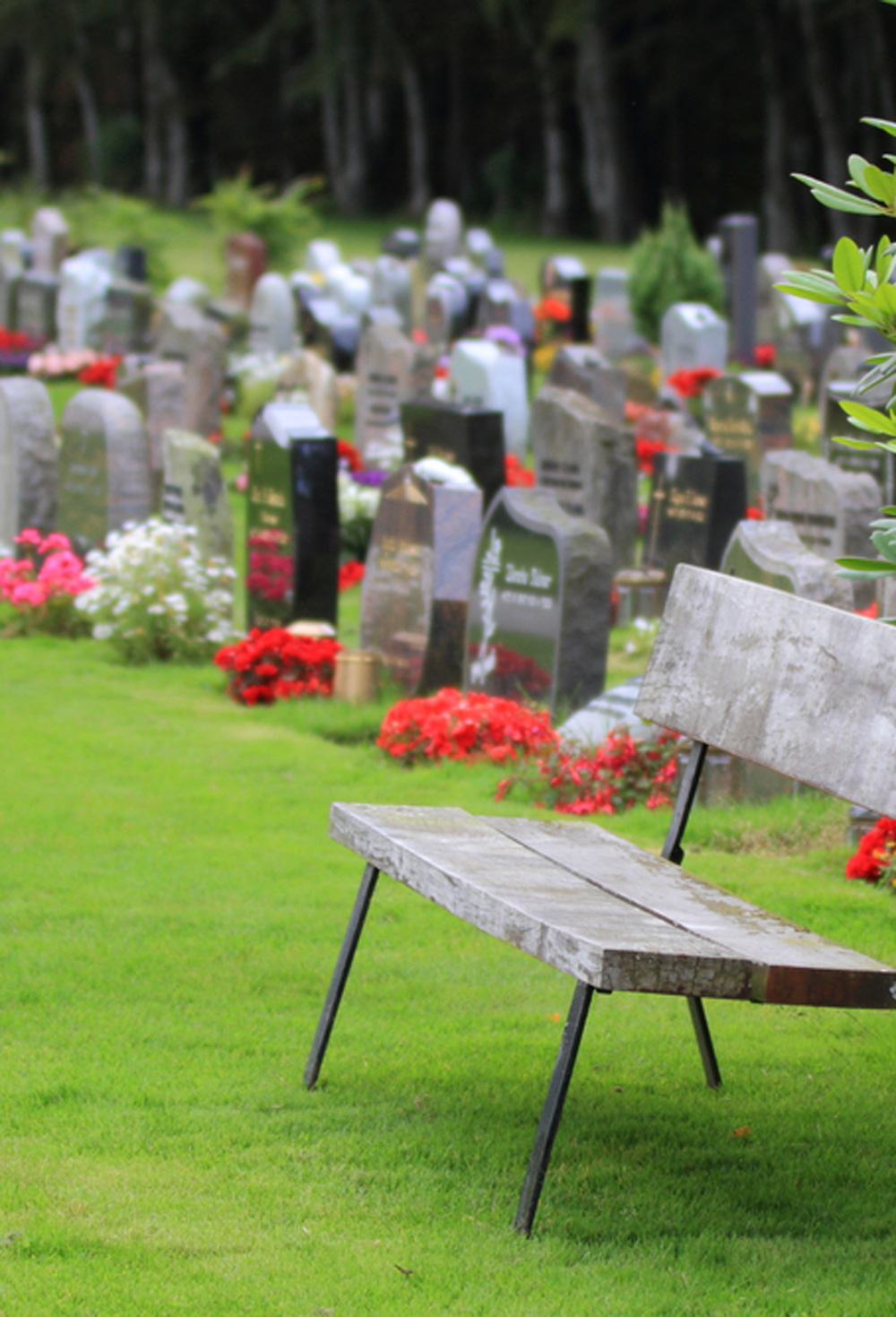 Tipos de flores funerarias: cuáles son las flores para un funeral?