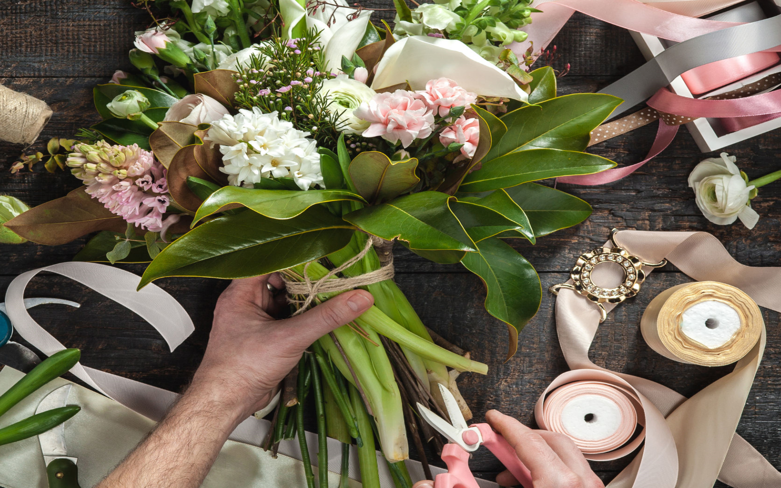 Significado de flores y plantas para el Día del Padre | Interflora