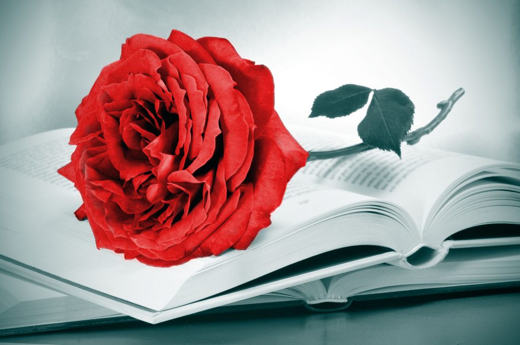 14 Libros Para Regalar Junto A Tu Rosa El Día De Sant Jordi Interflora