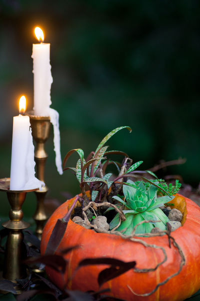 Ideas de decoración para Halloween con flores | Interflora