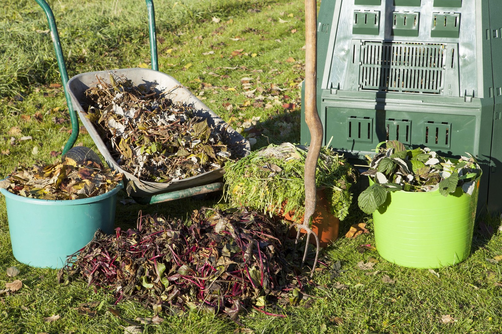 Cómo Hacer Un Compost Casero Con Hojas Secas Interflora