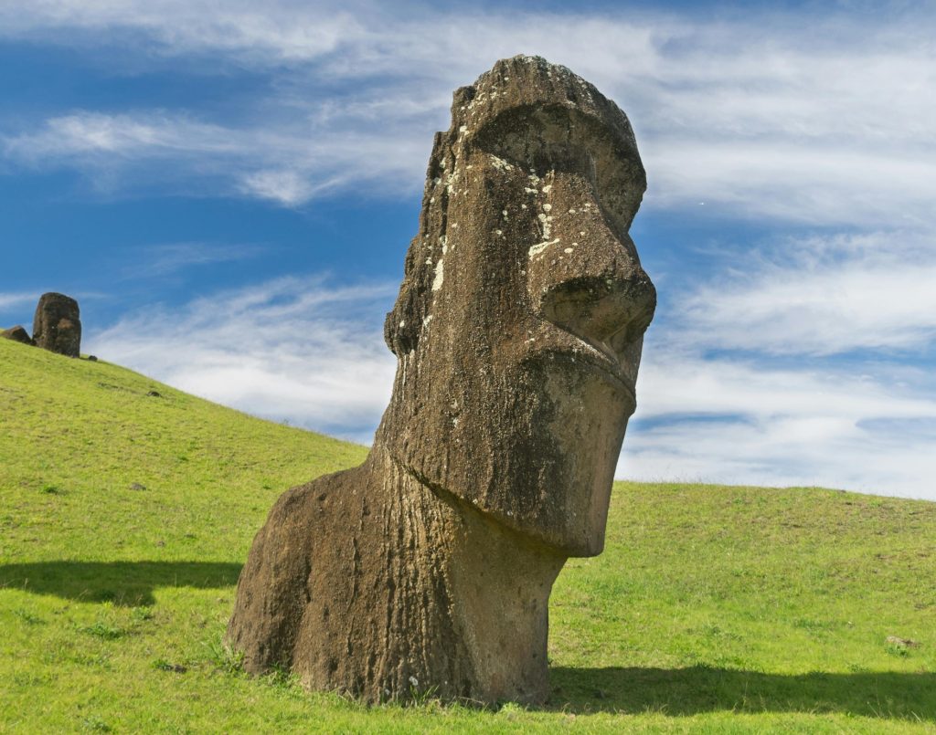 Flores nacionales América del Sur