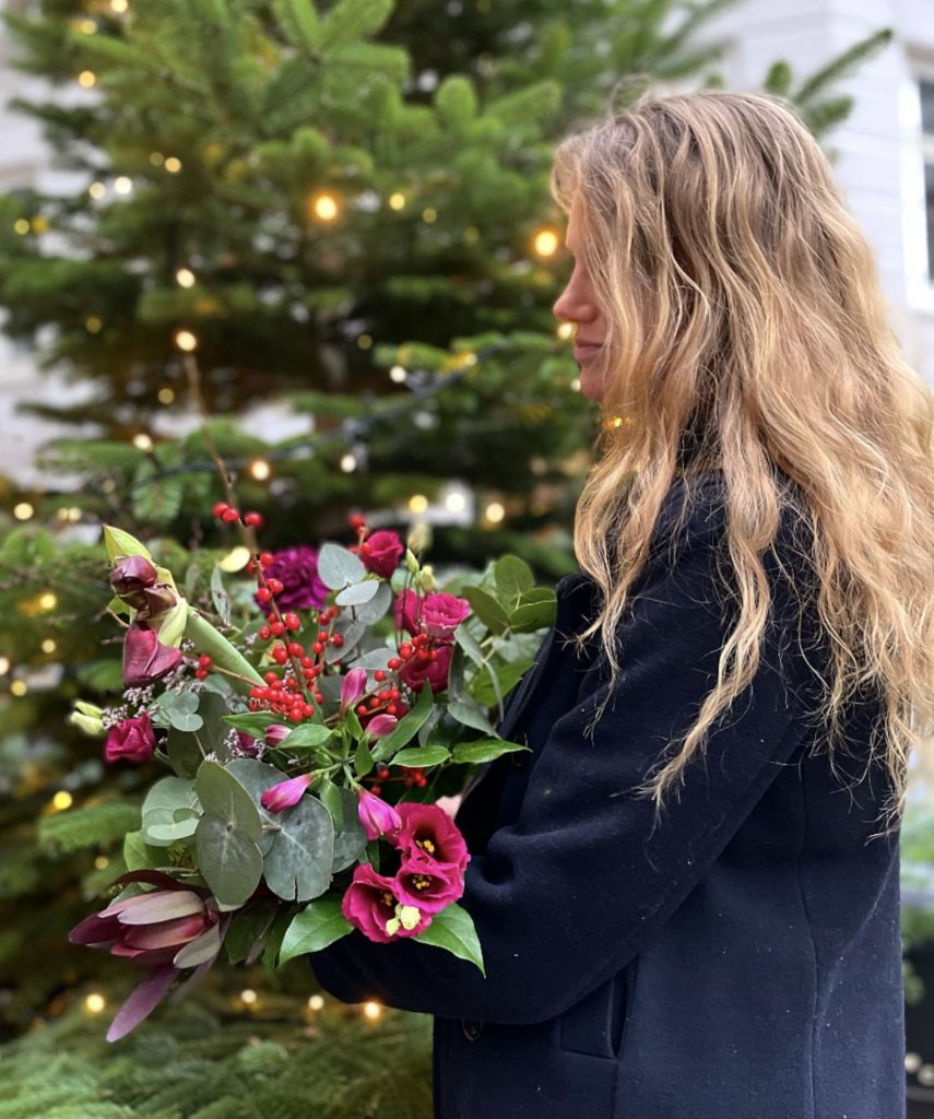 Flores rosas para Navidad