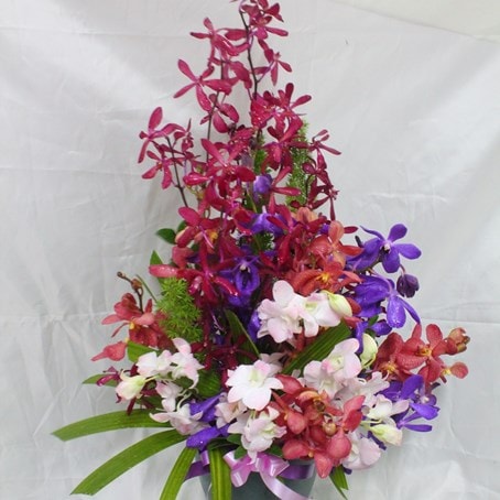 Arrangement with Orchids