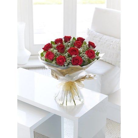 12 Red Long Stem Roses