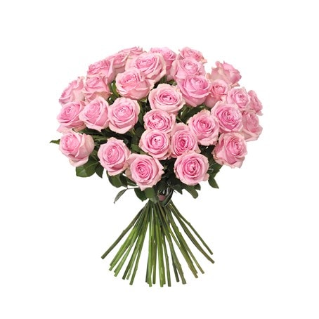 30 Pink Roses