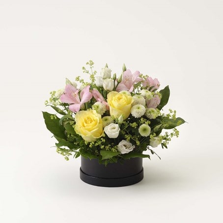 Arrangement of cut flowers