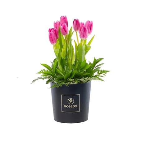 Rosatel Tulip Hatbox