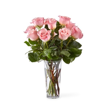 Long Stem Pink Rose Bouquet