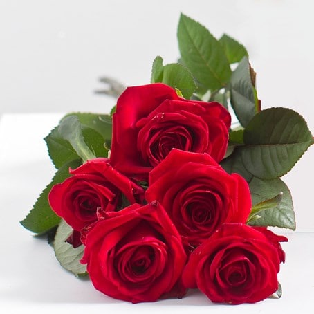 Bouquet of 5 red roses