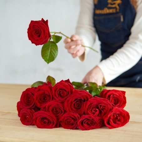 Regalos para el día de San Valentín, regalos de rosas para mujeres, rosa de  la bella y la bestia, rosas para el día de San Valentín, regalo de mujer