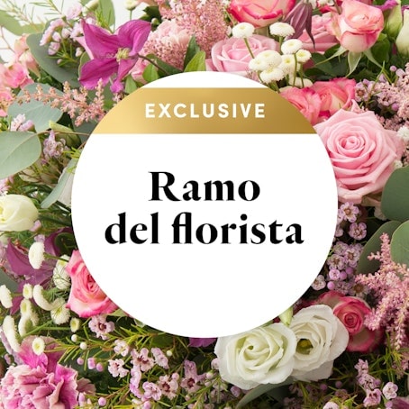 Ramo del Florista - Exclusive